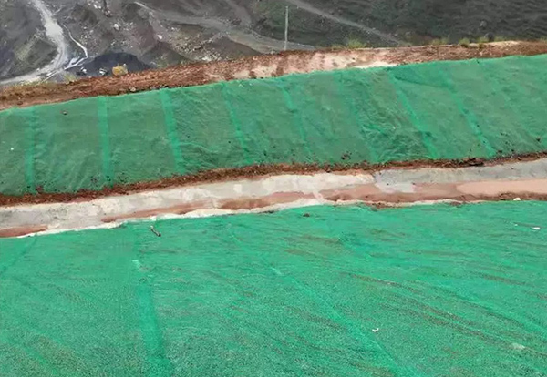 三維植被網案例