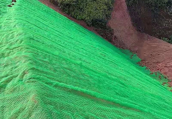 三維植被網案例